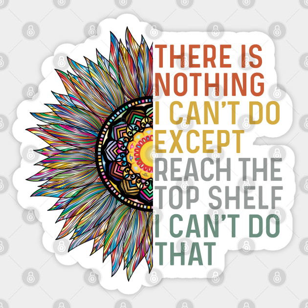 There Is Nothing I Can't Do Except Reach The Top Shelf I Can't Do That